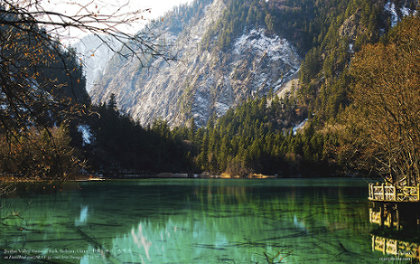 The Five Flower Lake | 九寨沟 - 五花海