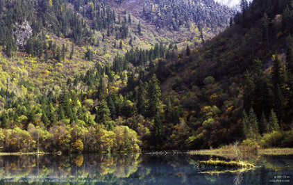 Rhinoceros Lake (Xiniu Lake) | 九寨沟 - 犀牛海